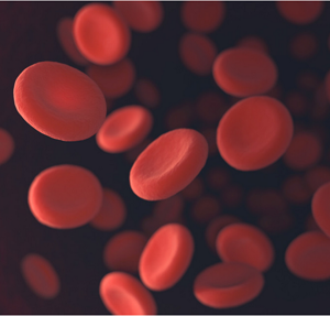 Red blood cells moving in blood vessels with depth of field.